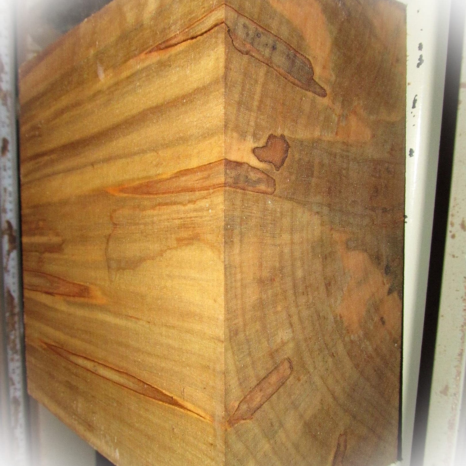 New Ambrosia Maple Bowl Blanks Lathe Turning Block Lumber Wood 8 X 8 X 3" Craft Wood Kit Set Supplies MON-0264TO Generic