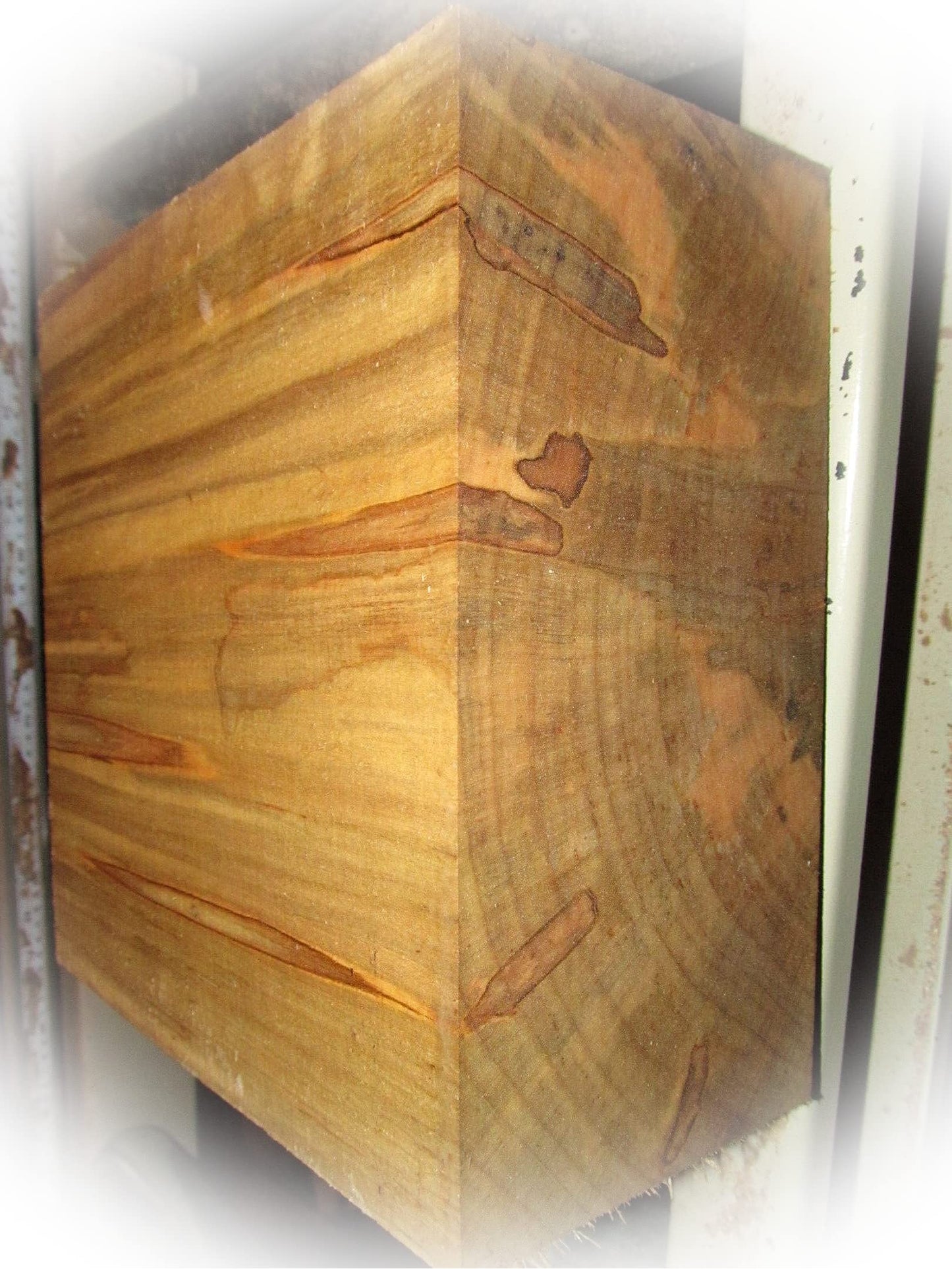 New Ambrosia Maple Bowl Blanks Lathe Turning Block Lumber Wood 8 X 8 X 3" Craft Wood Kit Set Supplies MON-0264TO - WoodArtSupply