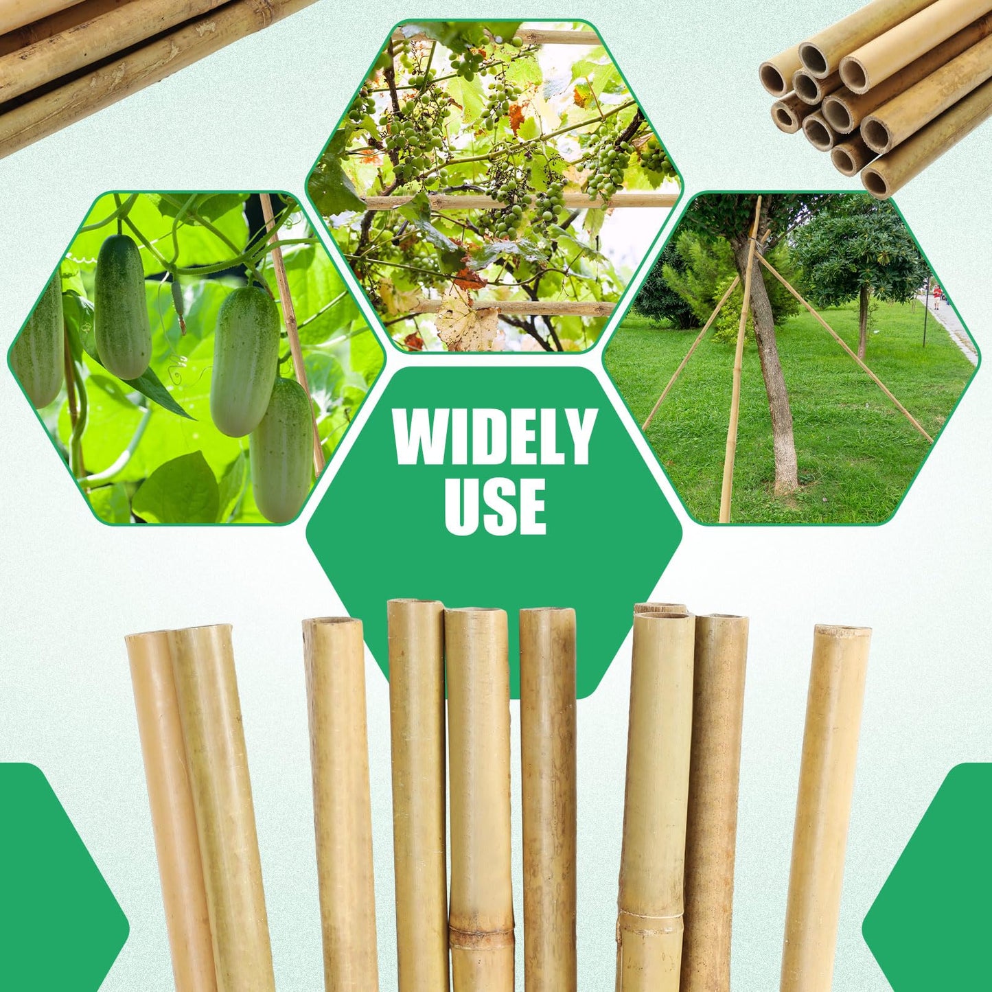 Suzile 10 Pcs Bamboo Poles 7ft x 1 Inch Bamboo Garden Stakes Bamboo Rods Garden Sticks Bamboo Plant Stakes for Beans Peas Cucumbers Fruiting Plants