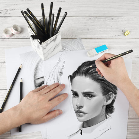 Drawing Pencils Set of 14 (B - 12B) Sketching Pencils for Drawing, Shading & Doodling | Professional Sketch Pencils Graphite Grades for Artists & Luwans