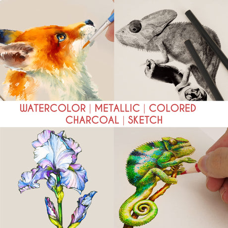 Zenacolor 74 Pack Drawing Set, Pro Art kit include Sketchbook, Colored, Graphite, Watercolor, Metallic & Charcoal Pencils for Drawing + Accessories, Zenacolor