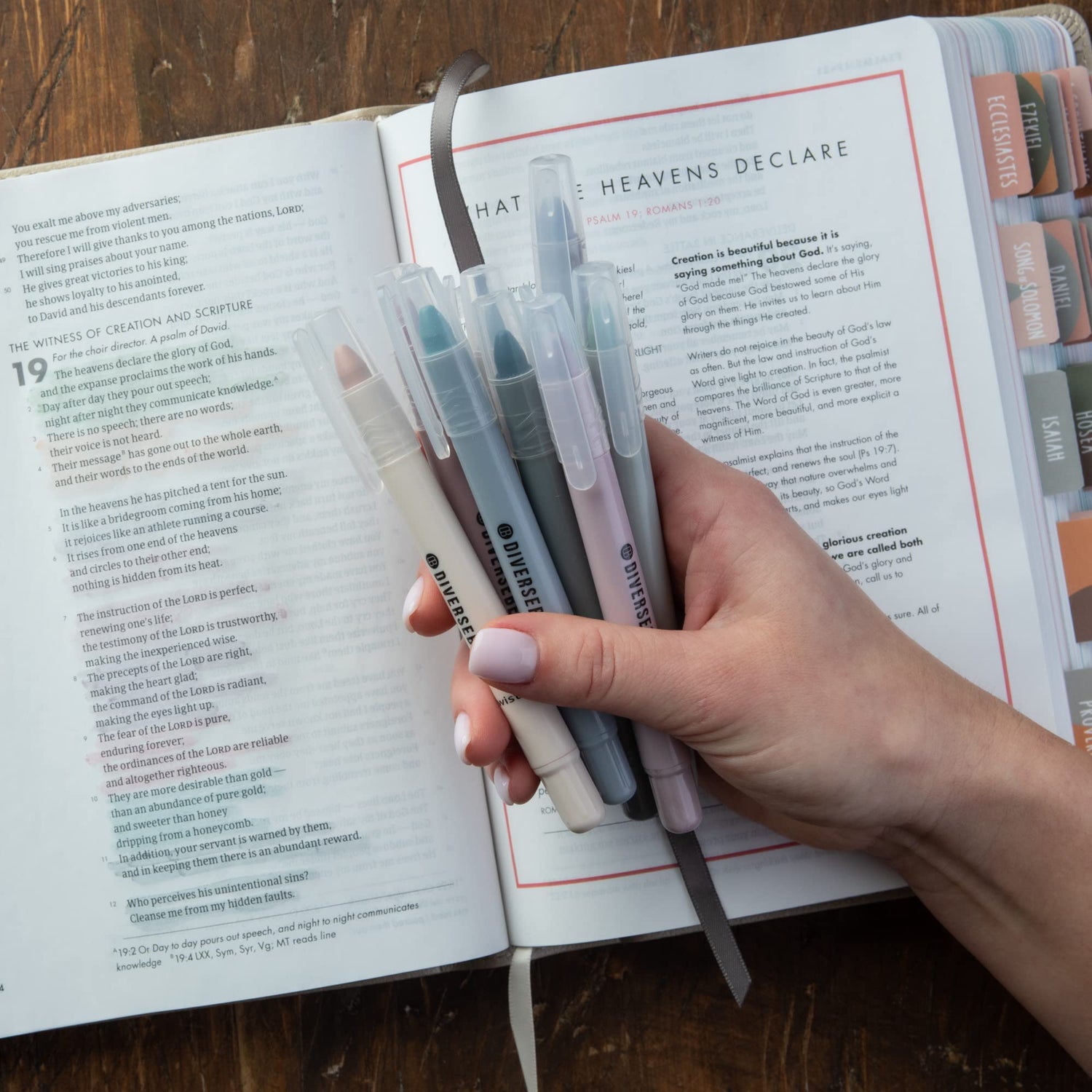 DIVERSEBEE No Bleed Highlighters and Pens, 8 Pack Assorted Gel Highlighters Set, Cute Markers, Journaling School Supplies, Accessories (Dusty) DIVERSEBEE