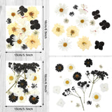 Pressed Flowers Bulk Dried Flower for Resin Mold, Dried Flower Leave Natural with Tweezer for Crafts Christmas DIY Gift Scrapbooking(Darkly Style) Nuanchu