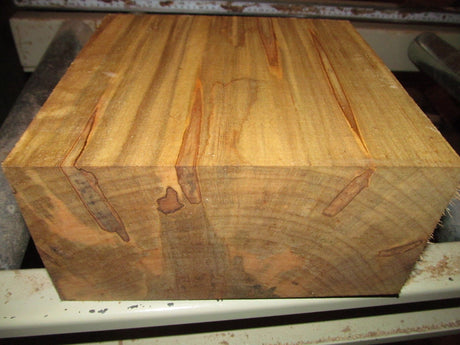 Egytree One Thick 8" X 8" X 4" Ambrosia Maple Bowl Blank Turning Block Lumber Processed Green and Completely Sealed with Anchorseal A2Z WOOD NATURAL / Egytree