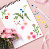Nuanchu Pressed Flowers Bulk Dried Flower for Resin Mold, Dried Flower Leave Natural with Tweezer for Crafts Christmas DIY Gift Papermaking(Colorful Nuanchu