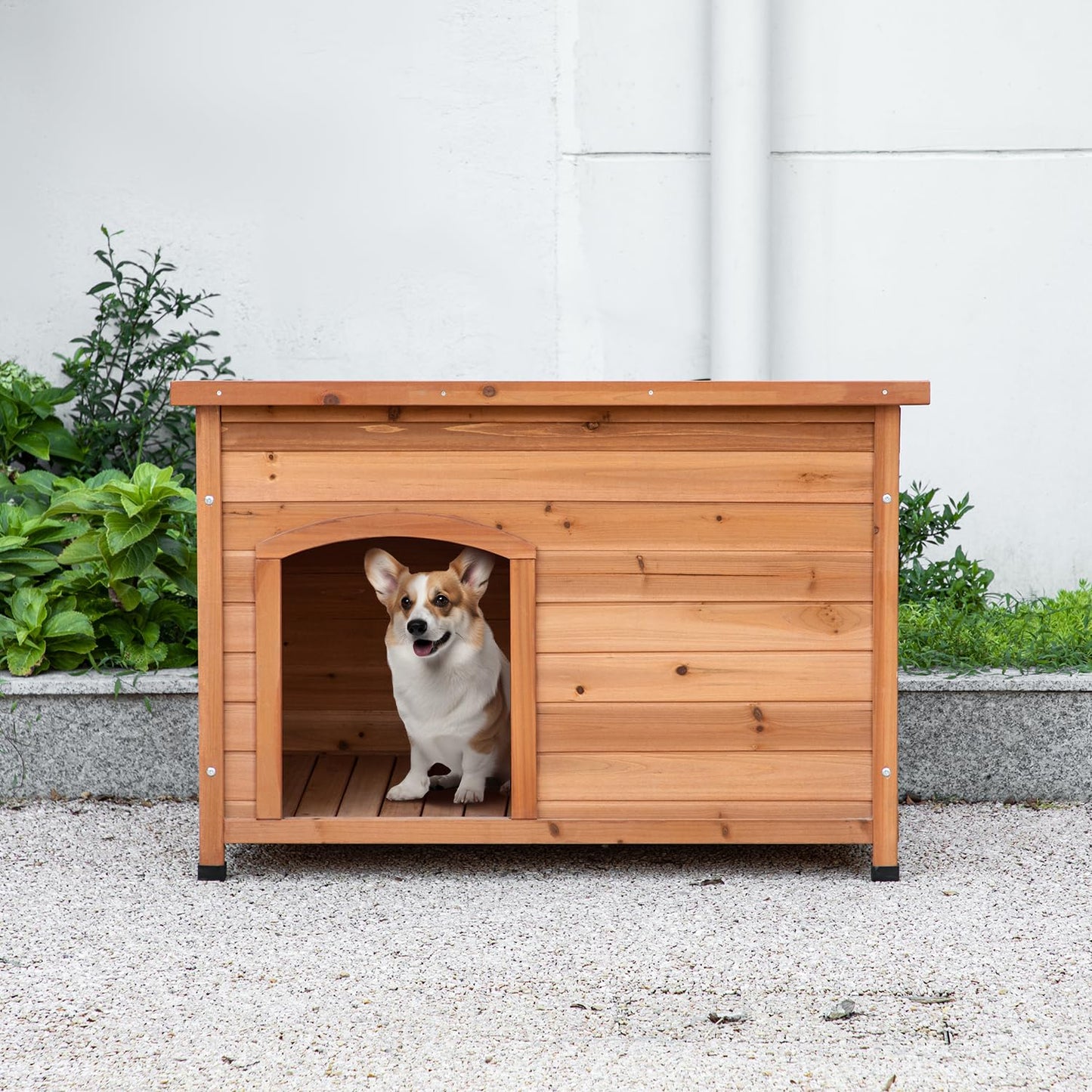 TAKUKA Outdoor Wooden Dog House for Small Medium Large Sized Dogs，Extra Waterproof Durable Dog Kennel with Wooden Floor for Garden Backyard Farm (34" - WoodArtSupply