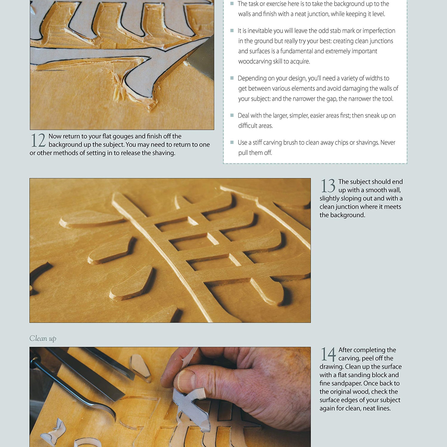 Chris Pye's Woodcarving Course & Reference Manual: A Beginner's Guide to Traditional Techniques (Fox Chapel Publishing) Relief Carving and Design Originals