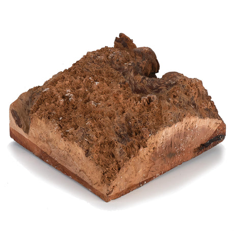 Woodcraft Australian Red Coolibah Burl Turning Blank 1kg-2kg 1-Piece WOODCRAFT