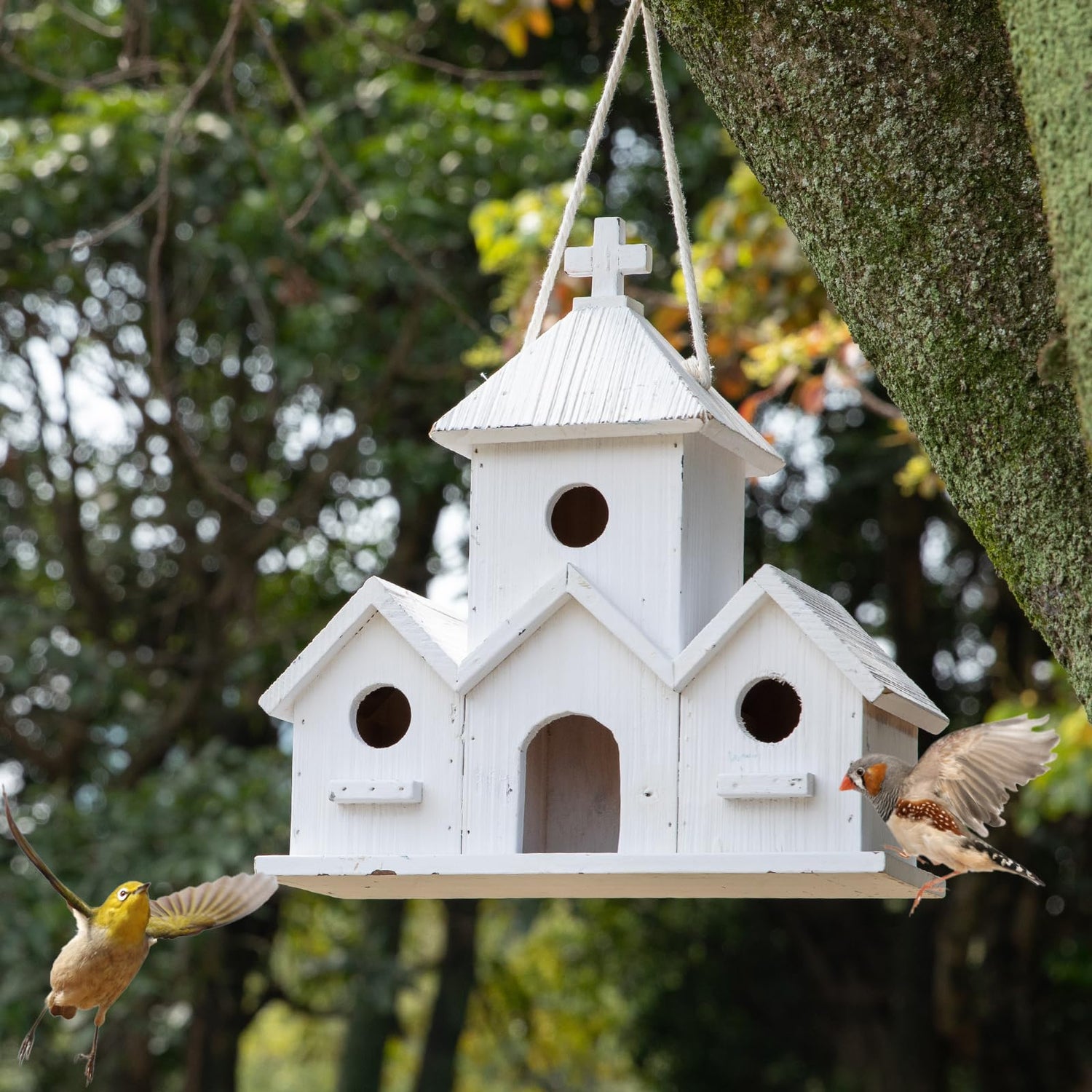 HHWODB Birdhouse Premium Bluebird Houses for Outside, Attract Beautiful Birds to Your Garden and Yard - Durable Outdoor Birdhouses 4 Hole Bird Houses HHWODB