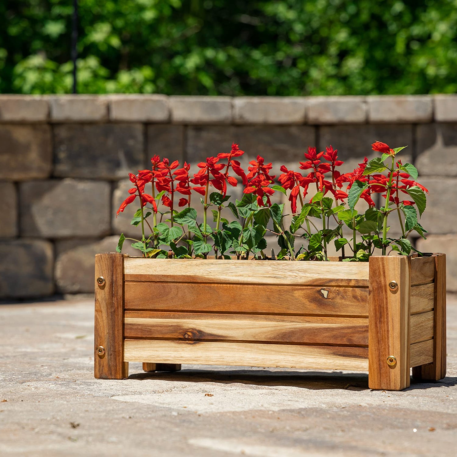 Avera Products | Raised Garden Bed | Rectangle Wood Planter Box | The Perfect Wooden Flower Box | 16" x 7.5" x 6.5" | Great Small Vegetable or Herb Avera Products