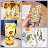 Dried Pressed Flowers, 170+ Pcs Mixed Dried Flowers for Resin, Bulk Natural Dry Floral Resin Fillers Decoration Accessories for DIY Crafts, oddava