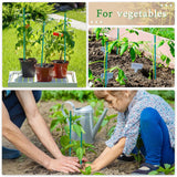 SupKing Plant Stakes,17&12 Inch Wood Plant Sticks 30 Pack Orchid Stake Sturdy Green Bamboo Plant Support Stake Gardening Floral Potted Plant Support SupKing