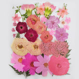 OECCO Large Pink Dried Pressed Flower for Resin, Big Real Nature Pressing Floral Leaves for DIY Craft, Mold, Jewelry Making, Candle Scrapbooking OECOO