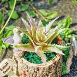 FUNSHOWCASE Small Tree Stump Flower Pot Silicone Mold for Epoxy Resin Concrete Clay Succulent Planter Ashtray Candle Holder 2.8x2inch FUNSHOWCASE