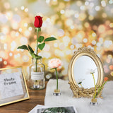 12 Pieces Flower Frog Holder Floral Round Flower Arranger Fixed Flower Pin Holder Tool Floral Arrangement Pin Holder Japanese Flower Holder for Geiserailie