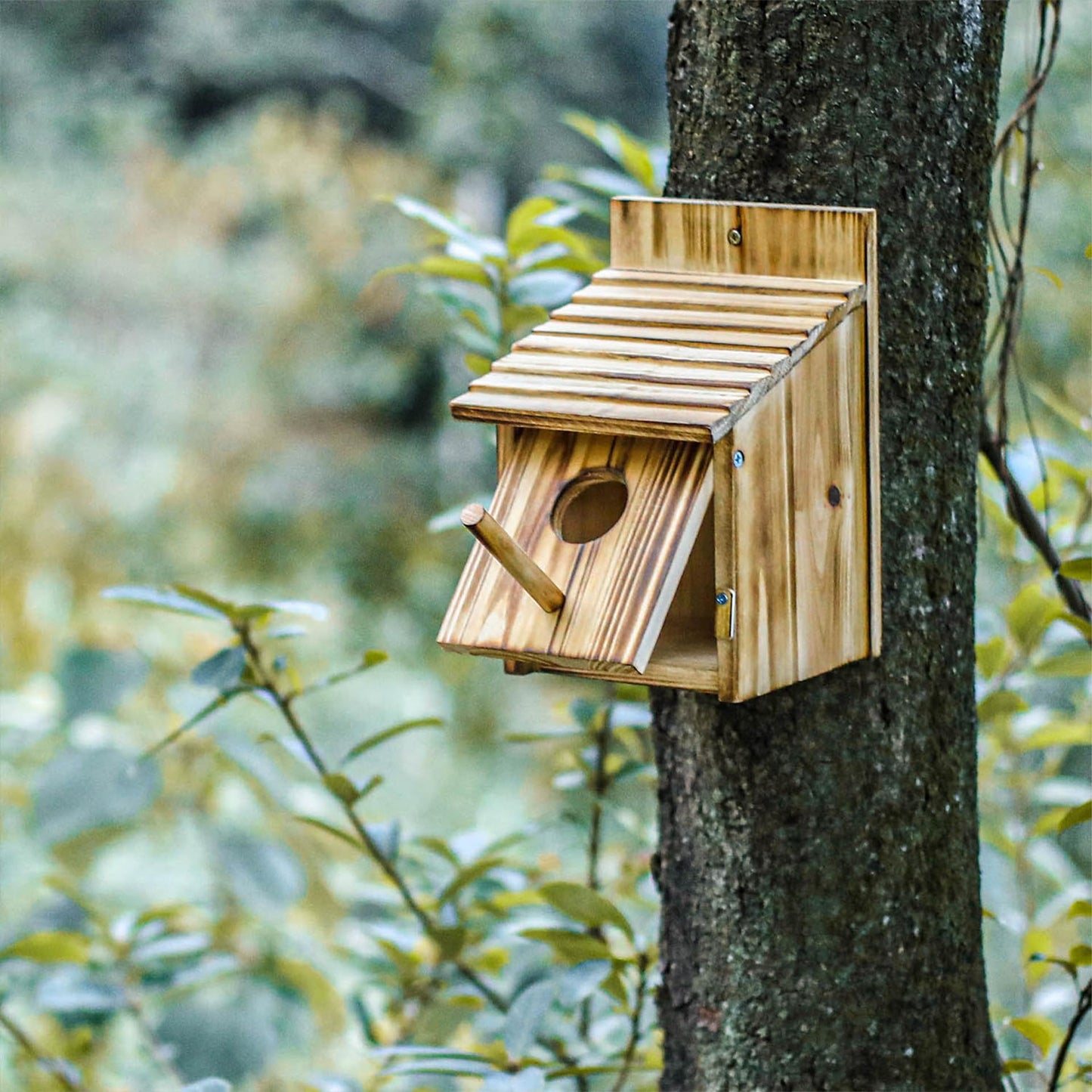 Bird Houses for Outside，Wooden Birdhouse with Open House Design - Perfect Nesting Box for Bluebirds - Assembly Required - Ideal for Outside - Blue - WoodArtSupply