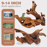 Jorewood Natural Large Coral Driftwood for Aquarium Decor Fish Tank Decorations Reptile Decor, Assorted Driftwood Branch 9-14" 2 Pcs Jorewood