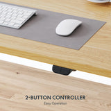 FLEXISPOT Height Adjustable Desk 55 x 28 inch Electric Standing Desk Whole-Piece Desk Board Stand Up Desk for Home Office (Gray Frame + 55" Natural FLEXISPOT