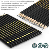 Drawing Pencils Set of 14 (B - 12B) Sketching Pencils for Drawing, Shading & Doodling | Professional Sketch Pencils Graphite Grades for Artists & Luwans