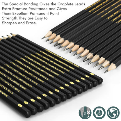 Drawing Pencils Set of 14 (B - 12B) Sketching Pencils for Drawing, Shading & Doodling | Professional Sketch Pencils Graphite Grades for Artists & - WoodArtSupply