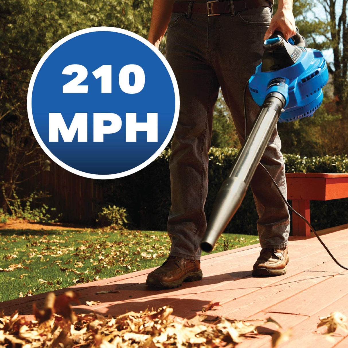 Vacmaster VBV1210, 12-Gallon* 5 Peak HP** Wet/Dry Shop Vacuum with Detachable Blower, Blue Vacmaster