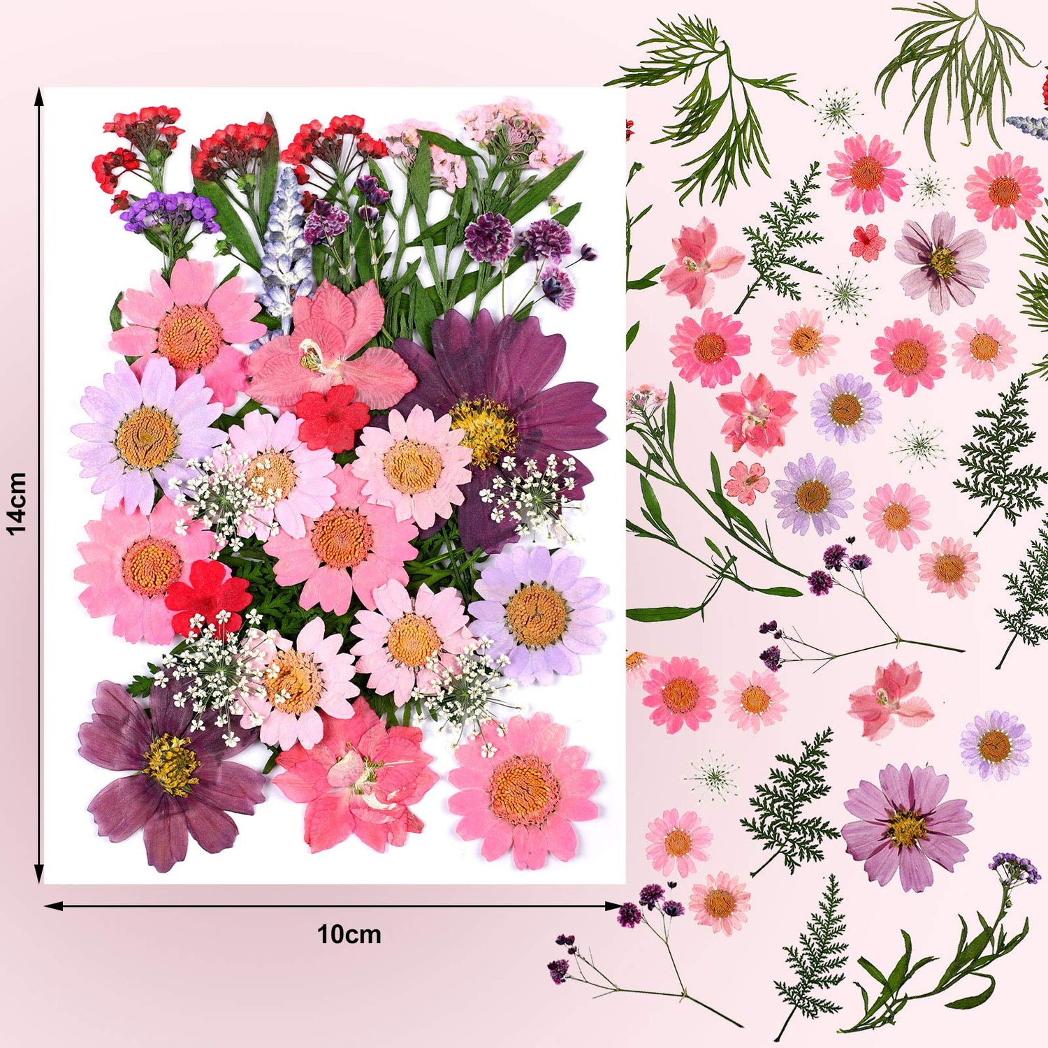 Dried Pressed Flower and Butterfly Transparent Sticker Set, Natural Real Dried Flower Butterfly Scrapbook Decal with Box and Curved Tweezers for DIY Nuanchu