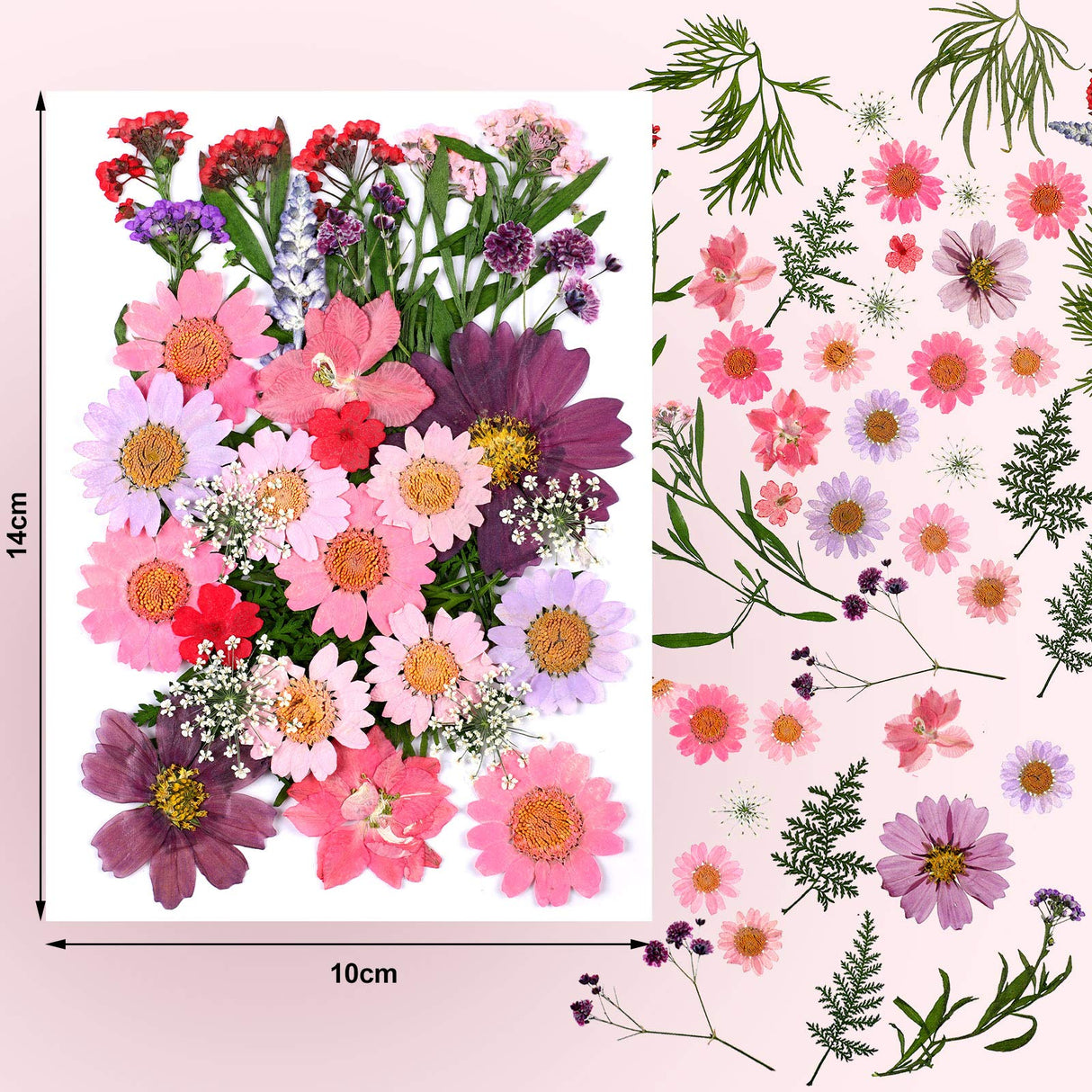 Dried Pressed Flower and Butterfly Transparent Sticker Set, Natural Real Dried Flower Butterfly Scrapbook Decal with Box and Curved Tweezers for DIY Nuanchu