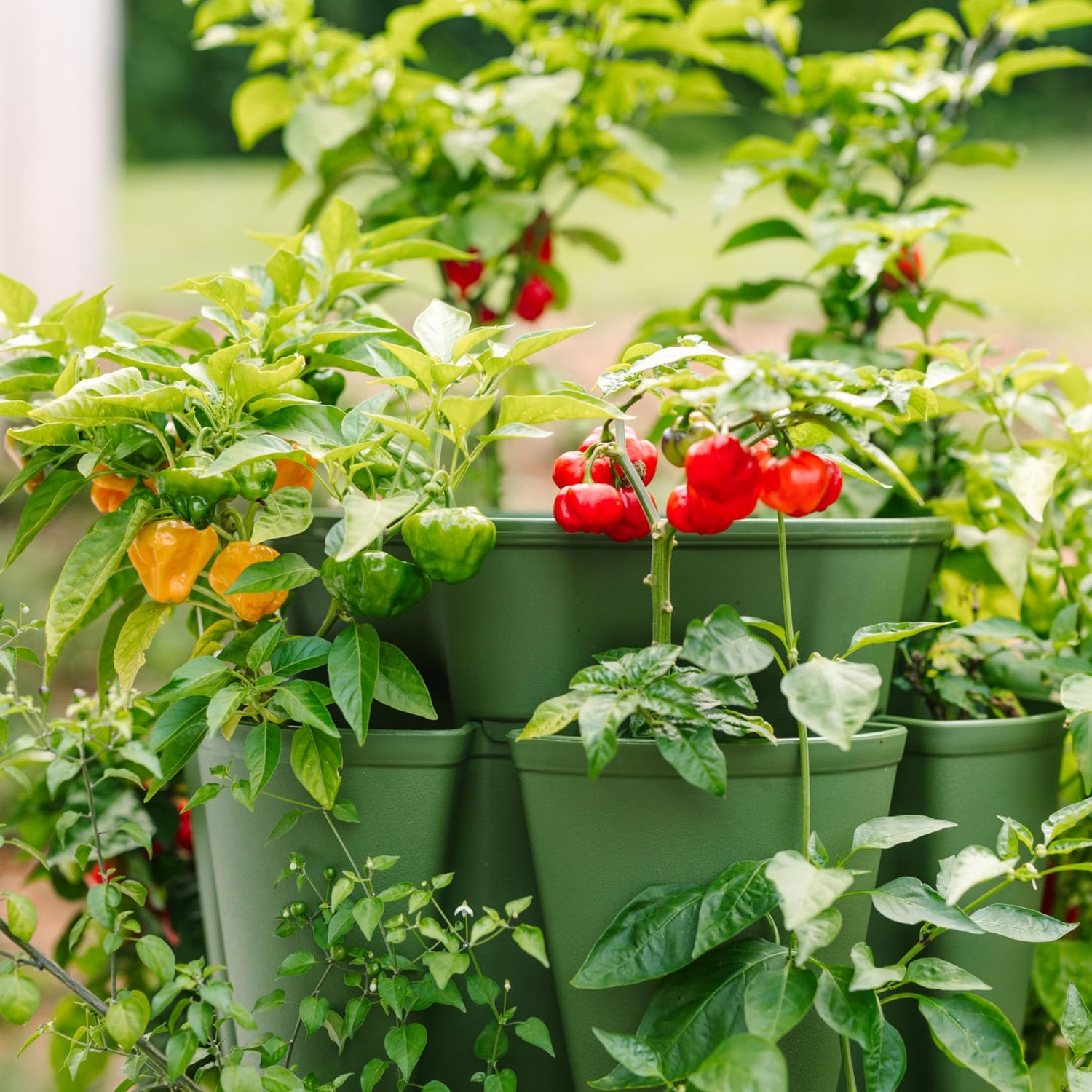 Greenstalk Patented Large 5 Tier Vertical Garden Planter with Patented Internal Watering System Great for Growing a Variety of Strawberries, Greenstalk