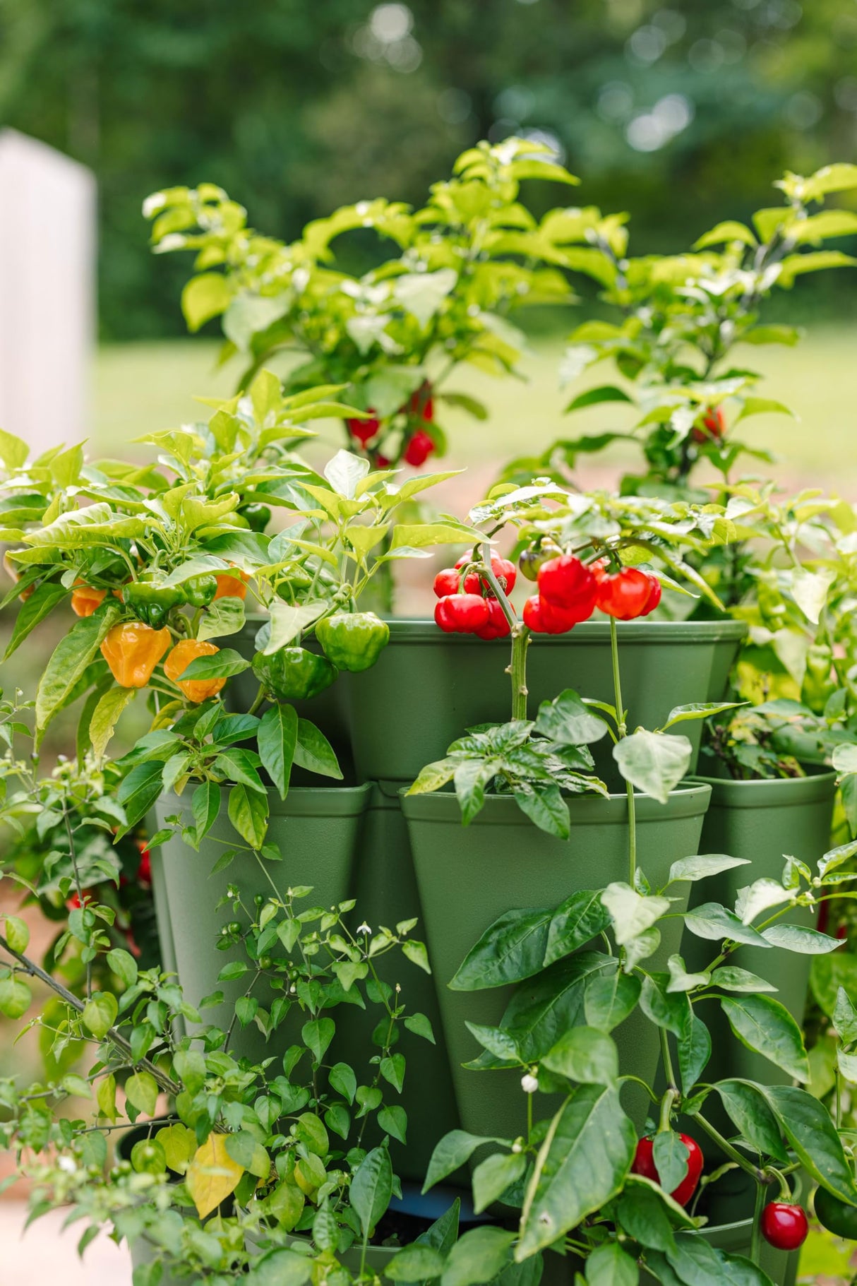 Greenstalk Patented Large 5 Tier Vertical Garden Planter with Patented Internal Watering System Great for Growing a Variety of Strawberries, Greenstalk