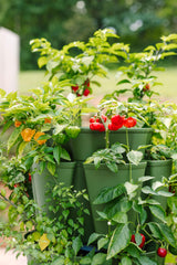 Greenstalk Patented Large 5 Tier Vertical Garden Planter with Patented Internal Watering System Great for Growing a Variety of Strawberries, Greenstalk