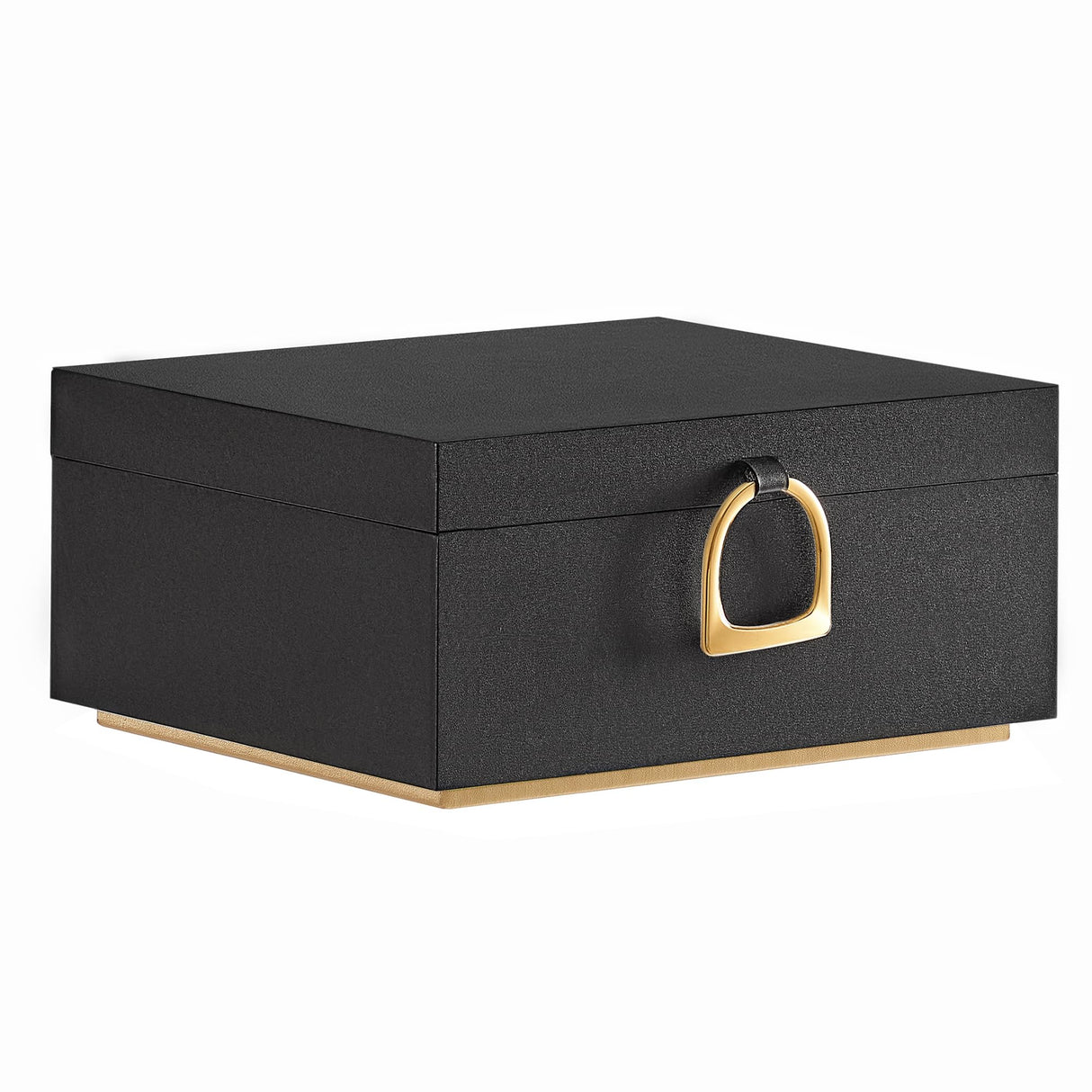 SONGMICS 2-Layer Jewelry Box, Jewelry Organizer with Handle, Removable Jewelry Tray, Jewelry Storage, Floating Effect, 8.1 x 9.4 x 4.3 Inches, Gift SONGMICS