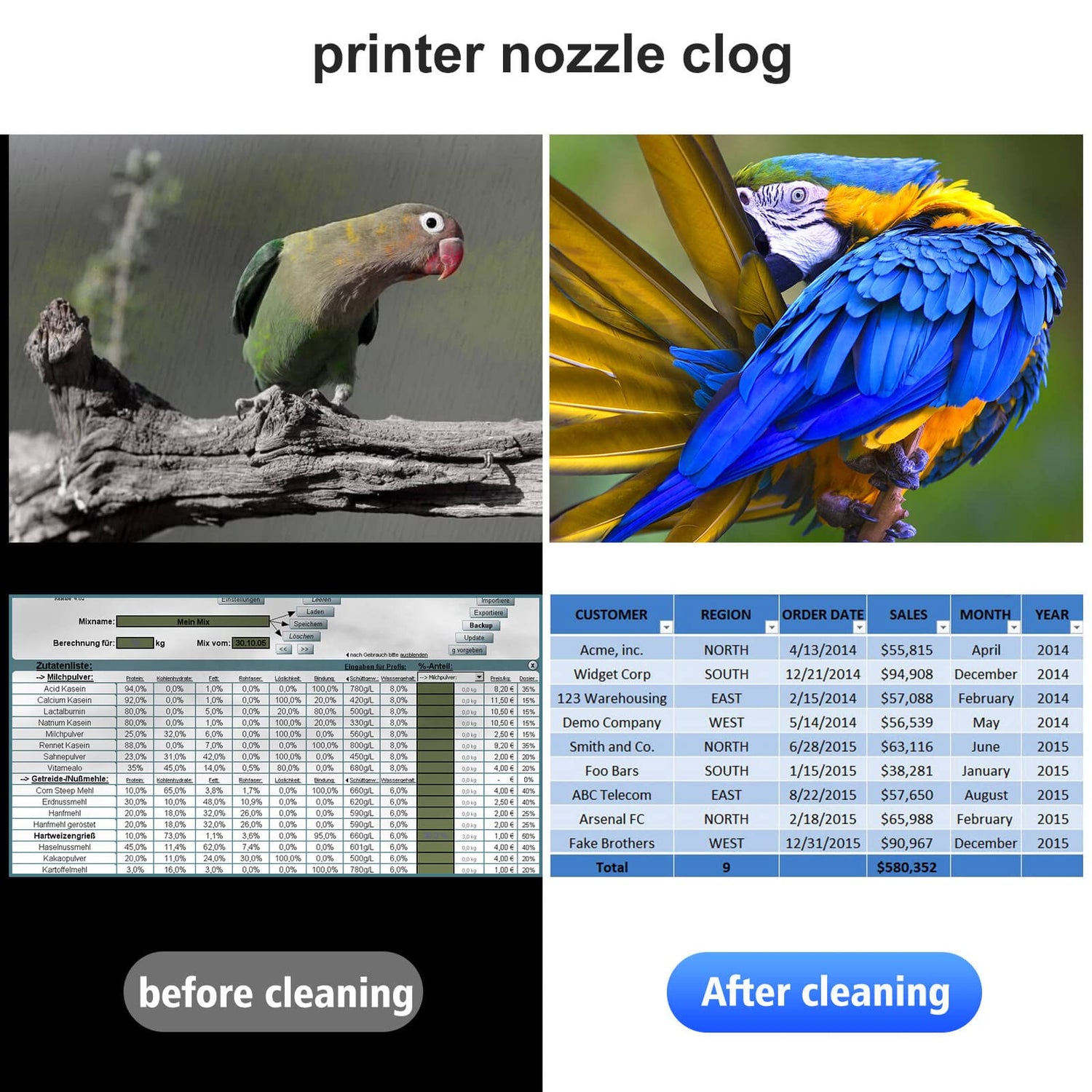 OFFICENTER Compatible Printhead Cleaning Kit for Epson, Printer Cleaning Kit for HP, Print Head Cleaning kit for epson, Print Head Cleaning kit for OFFICENTER