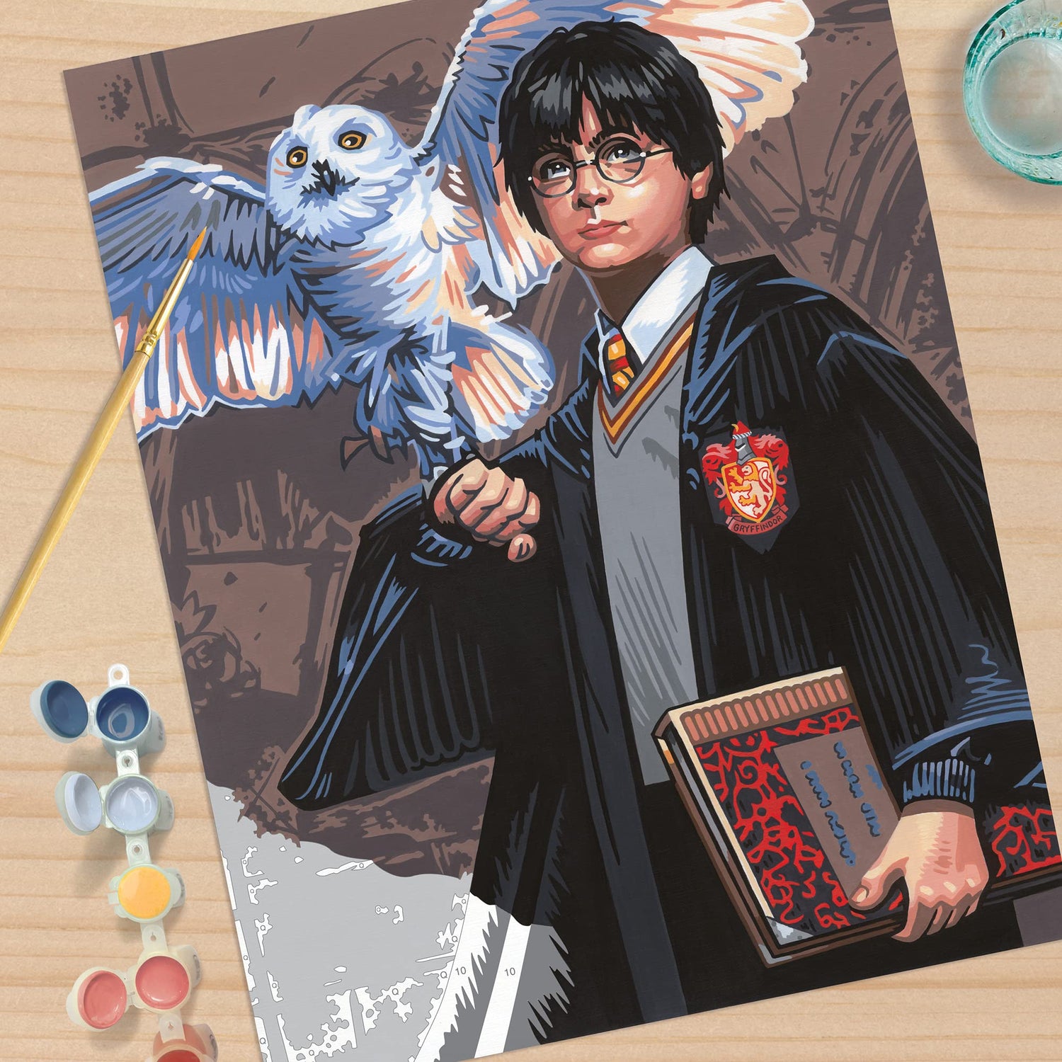 Dimensions PaintWorks Hedwig and Harry Potter Paint by Number Kit for Adults and Kids, Finished Project 11" x 14", Multicolor 15 Piece Dimensions