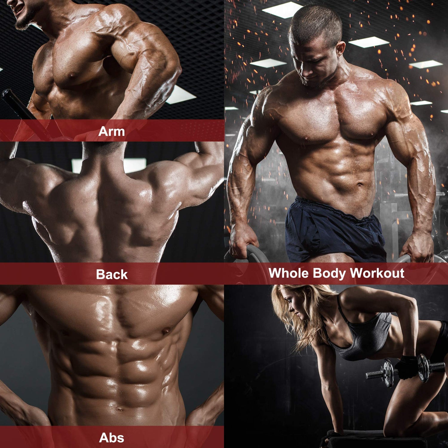 DERACY Adjustable Weight Bench for Full Body Workout, Incline and Decline Weight Bench for Indoor Workout, Home Gym (Red) DERACY