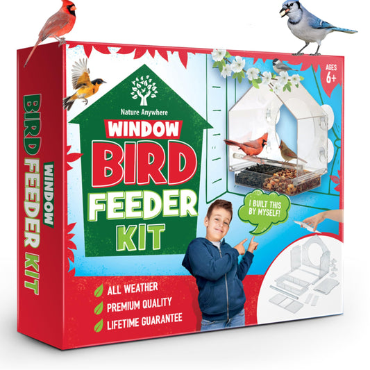 Window Bird Feeder Kit - Clear Bird Feeders to Make - Kids Crafts - Science Project - Indoor Outdoor Gardening - Bird Seed Feeder