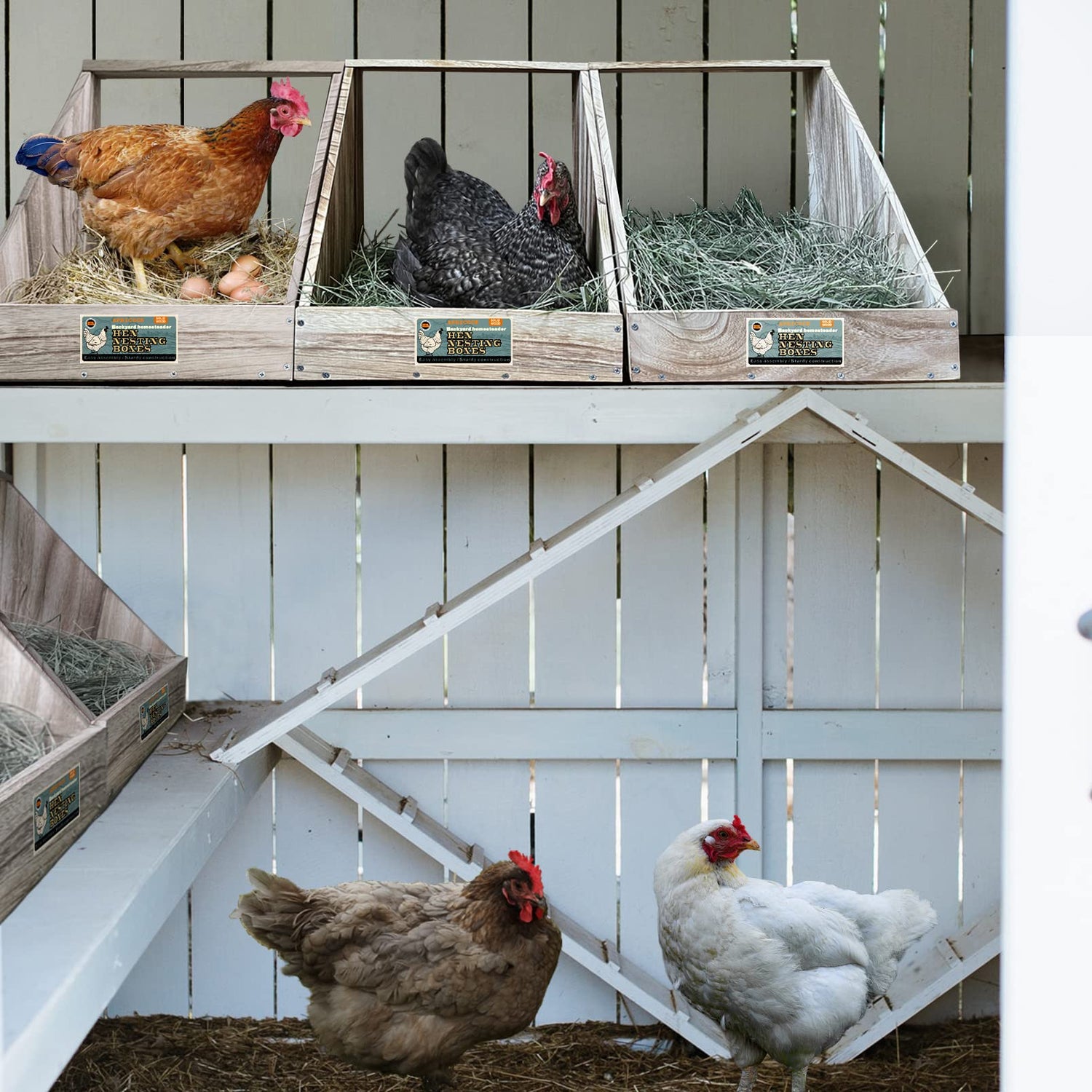 Single Compartment Hens Nesting Box, Chicken Coop Accessories, Wood Nesting Boxes for Up to 5 Hens, Big Duty Laying Nest Box for Duck and Poultry(1 APRICOCK