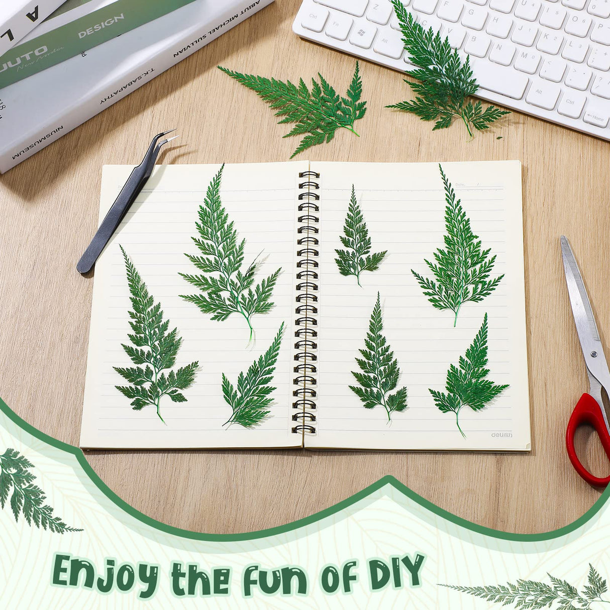 200 Pcs Dried Pressed Flowers Leaves Larkspur Flowers Small Dry Flowers Preserved Natural Ferns Real Dried Leaves Plant Leaf for Resin Arrangements Fumete