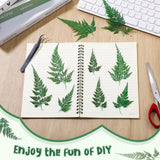 200 Pcs Dried Pressed Flowers Leaves Larkspur Flowers Small Dry Flowers Preserved Natural Ferns Real Dried Leaves Plant Leaf for Resin Arrangements Fumete