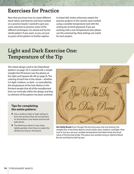 Pyrography Basics: Techniques and Exercises for Beginners (Design Originals) Patterns for Woodburning with Skill-Building Step-by-Step Instructions Design Originals