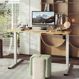 SANODESK Electric Standing Desk 48 x 24 Inches, Height Adjustable Stand Up Desk w/2-Button Controller, Ergonomic Computer Desk for Home Office, White SANODESK