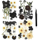 Pressed Flowers Bulk Dried Flower for Resin Mold, Dried Flower Leave Natural with Tweezer for Crafts Christmas DIY Gift Scrapbooking(Darkly Style) Nuanchu
