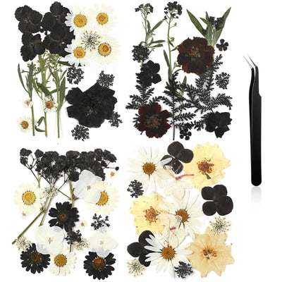 Pressed Flowers Bulk Dried Flower for Resin Mold, Dried Flower Leave Natural with Tweezer for Crafts Christmas DIY Gift Scrapbooking(Darkly Style)