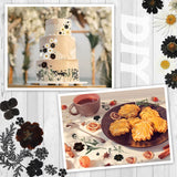 Pressed Flowers Bulk Dried Flower for Resin Mold, Dried Flower Leave Natural with Tweezer for Crafts Christmas DIY Gift Scrapbooking(Darkly Style) Nuanchu