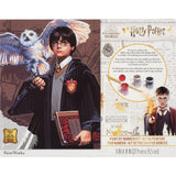 Dimensions PaintWorks Hedwig and Harry Potter Paint by Number Kit for Adults and Kids, Finished Project 11" x 14", Multicolor 15 Piece Dimensions