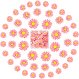 50 Pieces Flatback Resin Daisy Flowers Daisy Flower Epoxy Charms Mini Decorated Daisies Artificial with Storage Box for DIY Craft Cloth Pen Box Home Hicarer