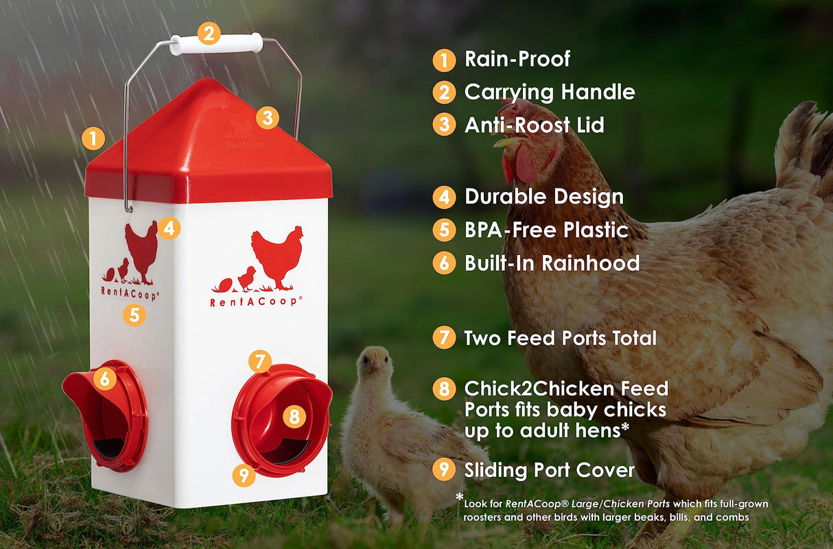 RentACoop Chick2Chicken 5lb 2-Port Feeder and 1-Gal Small Cage Waterer Set - Suitable for Chicks, Chickens, Pigeons, Quail, Game Birds RentACoop
