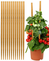 Strong Long Bamboo Plant Stakes for Indoor Plants, 12Pcs Bamboo Sticks for Plants, Plant Sticks Support Tall 18inch, Bamboo Plant Stakes, Garden VIPMORE