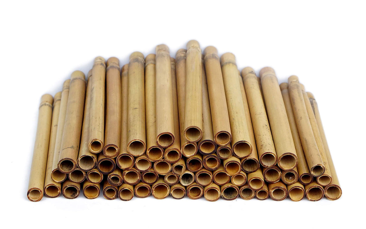IA Crafts Bamboo Tubes, for Mason Bees, Natural Bamboo Bee Nest, Easy to Split for Cocoon Harvest, 5.9" Long and 0.27"-0.4" Inner Diameter (0.75) IA Crafts