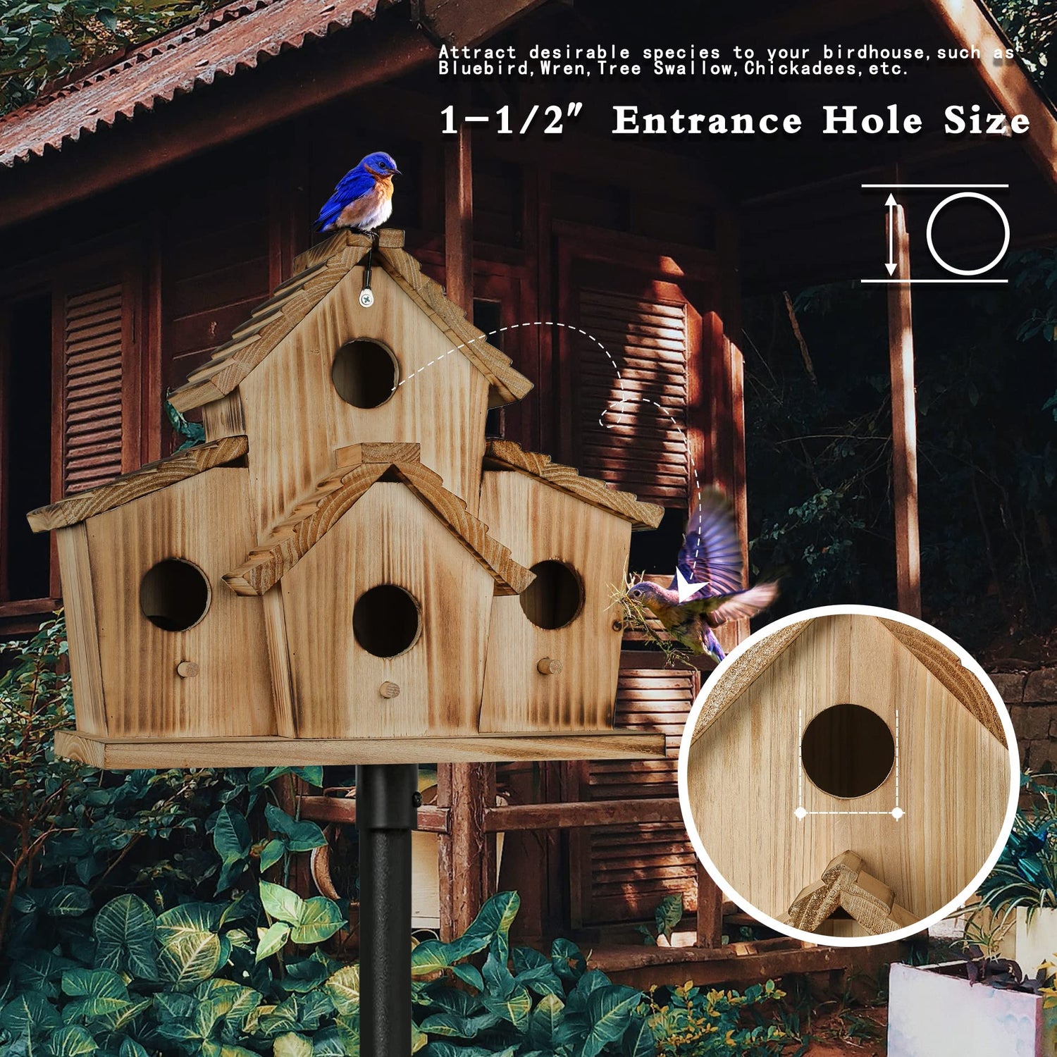 Bird Houses for Outside,Bluebird Finch 4 Room Outdoor Bird Houses for Garden, Up to 4 Bird Families, Large Hole for Bird Families' Needs NATUREYLWL