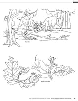 135 Gunstock Carving Patterns (Fox Chapel Publishing) A Treasury of Classic Designs to Beautify Any Firearm, including Deer, Elk, Bears, Oak Leaves, Design Originals